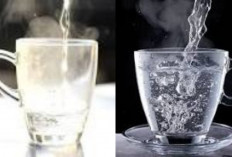 Manfaat Minum Air Hangat untuk Kesehatan Tubuh: Benarkah Bisa Detoks dan Bikin Badan Lebih Bugar!