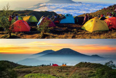 Gunung Prau dan Aura Mistisnya, Legenda dan Fenomena di Tengah Keindahan!