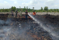 8 Bulan, Karhutla di Sumsel Sentuh 3.000 Hektar