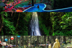 Spot Foto Instagramable dan Keindahan Alam, 7 Wisata Ngawi yang Memukau!