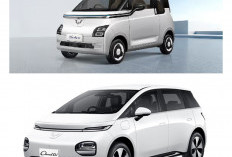 Daftar Harga Mobil Listrik Terbaru Januari 2026: Siap-siap Harga Naik Tanpa Insentif Pajak!
