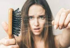 Jangan Insecure! Ini Dia 5 tips Kesehatan Rambut Menghilangkan Rambut Rontok Dengan Mudah