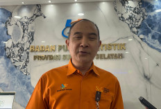 Inflasi di Sumsel Naik Tipis 0,29 Persen