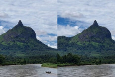 Bukit Jempol Bukit Unik di Sumatra Selatan, Cocok UntuK liburan Akhir Tahun!