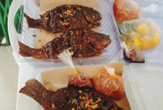 Lezat dan Terjangkau! Ikan Bakar dan Ayam Kribo Rina Sasmita