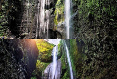 Sungguh Memukau, Inilah Air Terjun Tertinggi di Indonesia yang Wajib Kalian Kunjungi!
