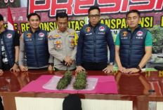 Tutup Tahun, Polres Pagar Alam Berhasil Gagalkan Peredaran Ganja 