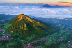 Ini 3 Misteri yang Tersembunyi di Gunung Andong, Ada Apa Aja?