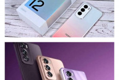 Hasil Foto Ala Studio! Oppo Reno 12 Pro 5G Resmi Hadir dengan AI Generatif: Hapus Objek Gangguan Cuma Sekali 