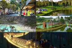 5 Tempat Wisata di Bandung Terbaik, Wajib Kamu Kunjungi!