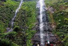 Mau Wisata Kuliner di Jombang? Ini 5 Makanan Lezat yang Bikin Ketagihan