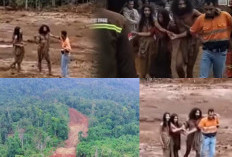 Muncul dari Hutan Belantara Karena Kelaparan? Ini Fakta Menarik Suku Pedalaman Togutil Halmahera