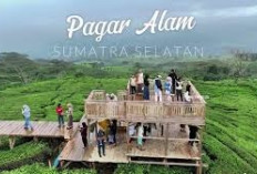 Desa Wisata Gunung Dempo Dibuka Kembali 