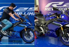 Resmi! Yamaha Rilis New R25 dan MT25, Harganya Mulai Segini!