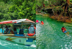 Menikmati Kedamaian di Pangandaran, 4 Tempat Wisata yang Wajib Dikunjungi!