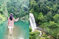 5 Tempat Wisata Alam di Kendal Ini Masih Jarang Diketahui Wisatawan, Padahal Tempatnya Bagus Banget!