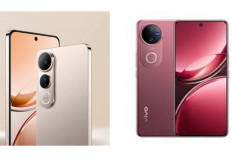 Update Harga Vivo V50 5G Mei 2026: Smartphone 'Cantik' dengan Fitur Flagship yang Makin Terjangkau!