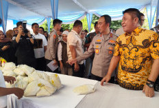 Apresiasi Program Stabilitas Harga