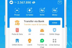 Mengapa Anda Beruntung Mendapatkan Saldo DANA Gratis?