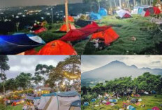 Menikmati Pesona Gunung Salak, 5 Aktivitas Seru di D'bunder Camp di Kota Bogor 