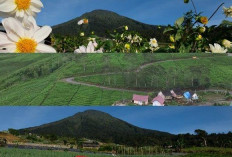 Surgawi Pesona Gunung Dempo di Pagar Alam, Cocok Untuk Healing di Awal Tahun 2024!