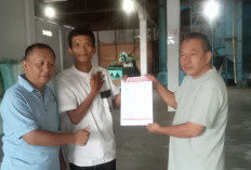 Siap Ekspor Kopi Robusta ke Malaysia dan Australia