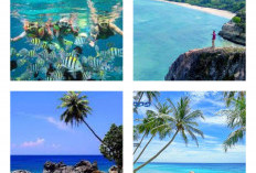 Bikin Kagum! Ini 5 Alasan Kenapa Anda Harus Mengunjungi Wisata di Aceh, Cek Faktanya