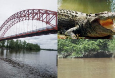 Yuk Cari Tahu! Jejak Misterius di Sungai Seruyan Menguak Kebenaran di Balik Legenda Setempat