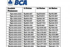 Bunga Pinjaman KUR Bank BCA, Mengungkap Fakta dan Tren