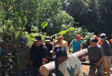 Warga Ujan Mas dan BPBD Gotong Royong Perbaiki Saluran Irigasi Rusak