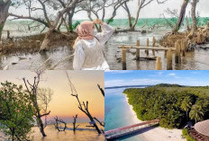 Pantai Ciwerang, Destinasi Liburan Ideal dengan Keindahan Alam yang Memukau!