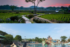  Eksplorasi Alam dan Budaya, Destinasi Wisata Desa di Cirebon!
