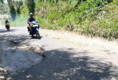 Jalan Penghubung 3 Kelurahan Memprihatinkan