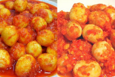 Resep Telur Puyuh Balado Pedas Gurihnya Bikin Nagih!
