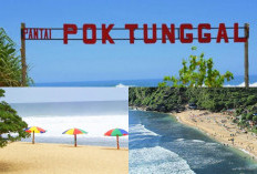 Mau Liburan Tenang? Ini dia Pantai Pok Tunggal Keindahan Alam yang Memukau di Jogja 