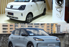 Terungkap! Harga Mobil Listrik China di Indonesia, Ada yang di Bawah 300 Juta