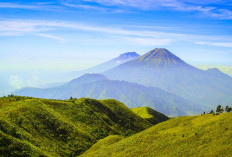 Pendakian Gunung Sindoro via Bansari: Petualangan Menuju Puncak di Tengah Keindahan Alam