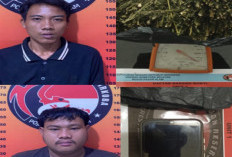Jelang Nataru, Satres Narkoba Ungkap Peredaran Ganja 