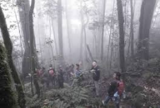 Merinding! Berikut Misteri dan Keangkeran Gunung Betung Lampung