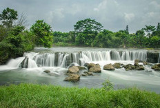 Ini 8 Tempat Wisata di Bekasi, Cocok untuk Mengisi Akhir Pekan