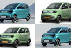 VinFast Limo Green 2026 Resmi Meluncur! MPV Listrik Ramah Lingkungan dengan Harga Mengejutkan Ditahun 2026!