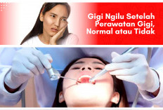 Gigi Ngilu Setelah Ditambal? Ini Penyebab dan Solusi untuk Mengatasinya