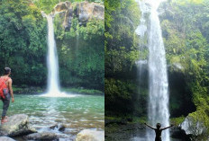 Rahasia Kecantikan Alam Purbalingga, Lima Destinasi Air Terjun yang Mempesona!
