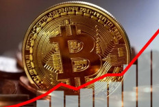 Jelang Inflasi Investor Borong Semua Bitcoin! Ada Apa?