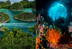 Raja Ampat, Surga Laut dengan Misteri yang Menunggu untuk Diungkap!