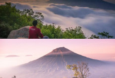 Menaklukkan Gunung-Gunung Mojokerto, Petualangan Seru Pendaki Pemula!
