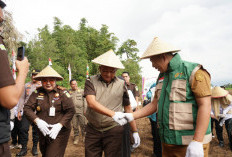 Komitmen Kejaksaan Perkuat Ketahanan Pangan 