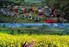 Menikmati Momen Terakhir Liburan Lebaran di Kota Mojokerto, Destinasi Wisata yang Memikat!