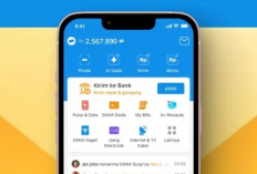 Dapatkan Rp600.000 Gratis di DANA Hanya Dengan Verifikasi Nomor HP! Gak Perlu Modal!