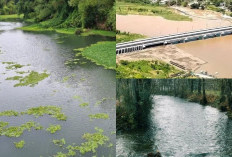 Paling Seram Guys, Mengungkap Misteri Sungai Opak dari Arus Aneh Hingga Penampakan yang Menakutkan!